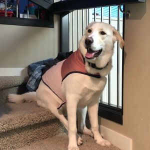 Meet your Posher, Mariah